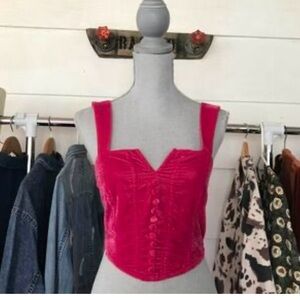 Rachel Zoe  Fuchsia Velvet Crop Top size medium